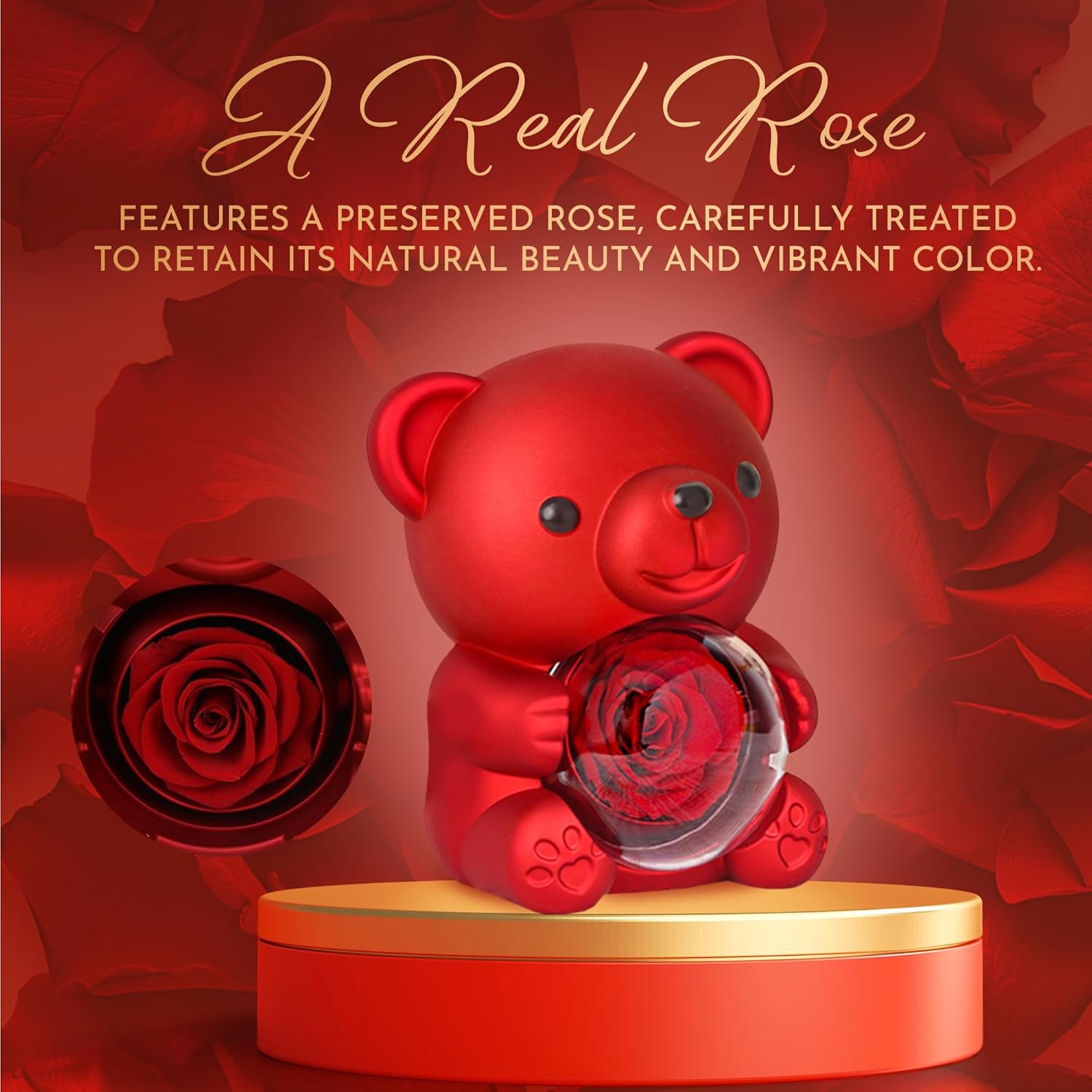 Real Rose Bear Gift Box 